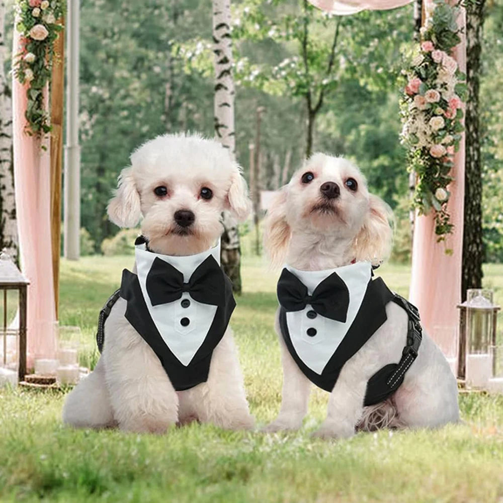 Tuxedo Dog Harness Vest with Bow Tie & D-Ring