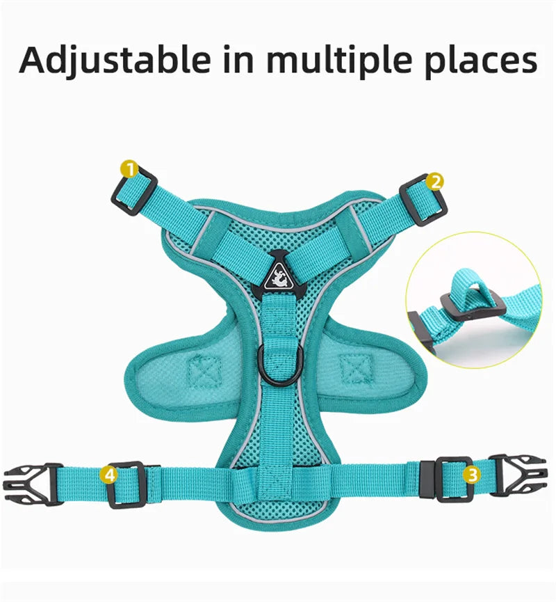 Reflective Mesh Cat & Dog Harness with Leash Set