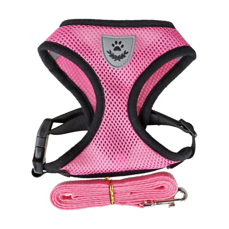 Harnais anti-évasion pour chat et chien avec laisse - Gilet en maille réglable pour la promenade