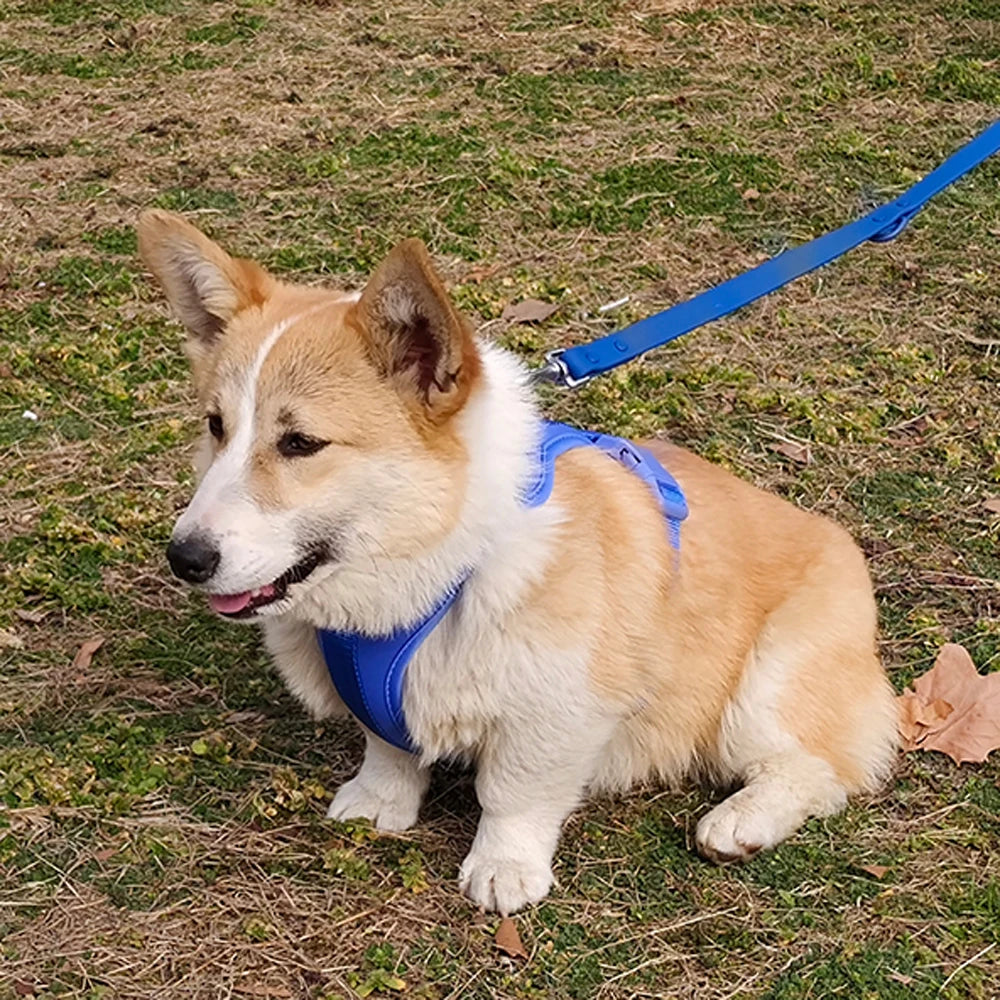 Breathable Adjustable Dog Harness Vest