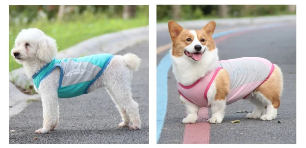 Reflective Cooling Vest for Dogs & Cats