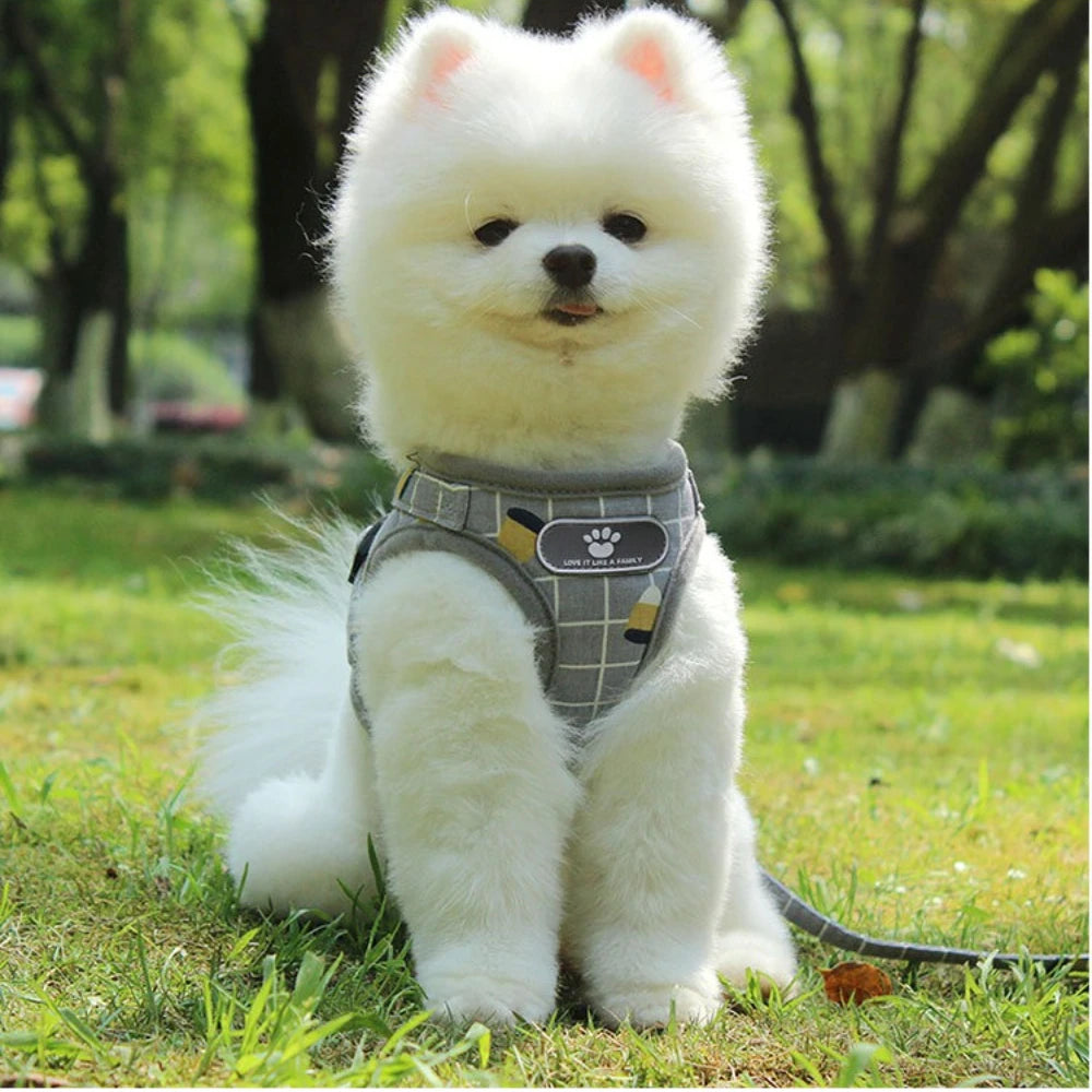 Ensemble harnais et laisse anti-évasion pour animaux de compagnie – Gilet en maille réfléchissante pour chats et petits chiens