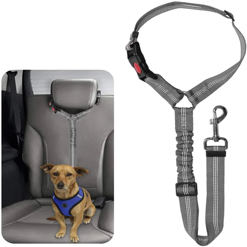 Reflective Dog Car Seat Belt and Walking Leash for Small Dogs