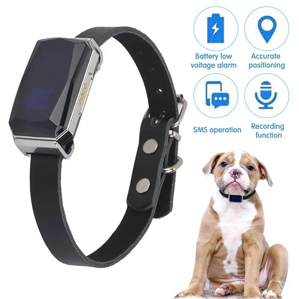 G12 GPS Pet Tracker Collar with Real-Time Tracking for Dogs & Cats