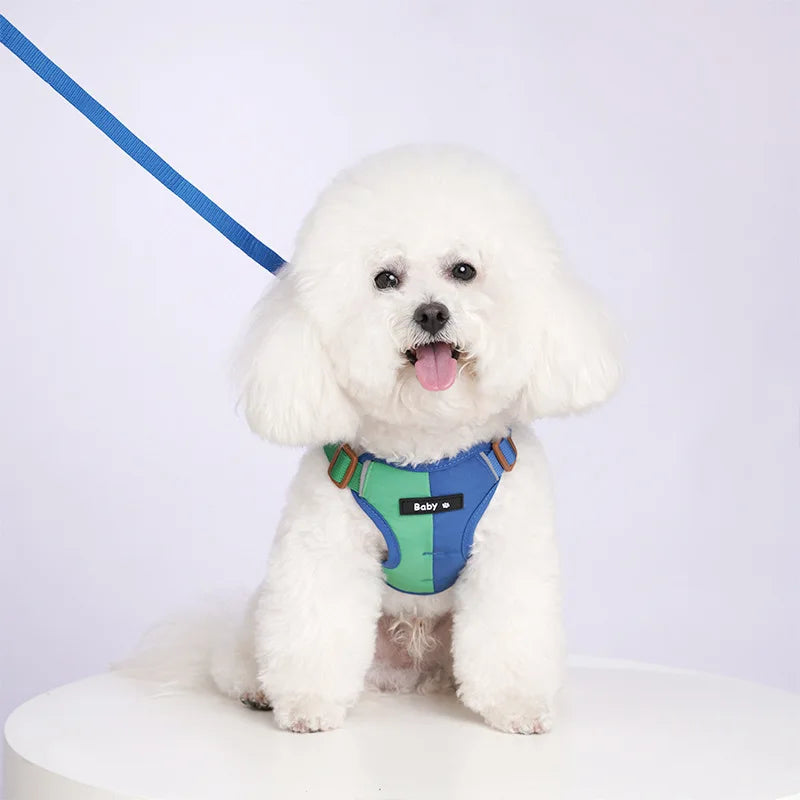 Ensemble Harnais et Laisse Réfléchissants Ajustables pour Chiens et Chats de Petite et Moyenne Taille