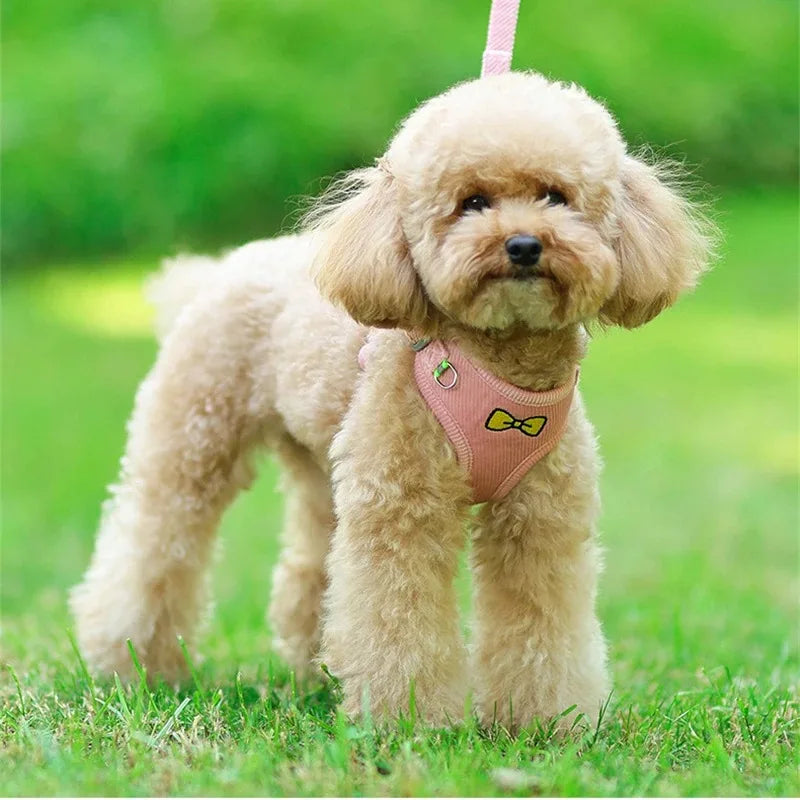 Gilet Harnais Tactique pour Chien - Harnais Anti-Traction pour Chiens Petits à Grands
