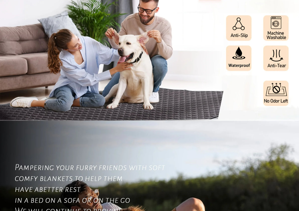 Pet Furniture & Bed Cover