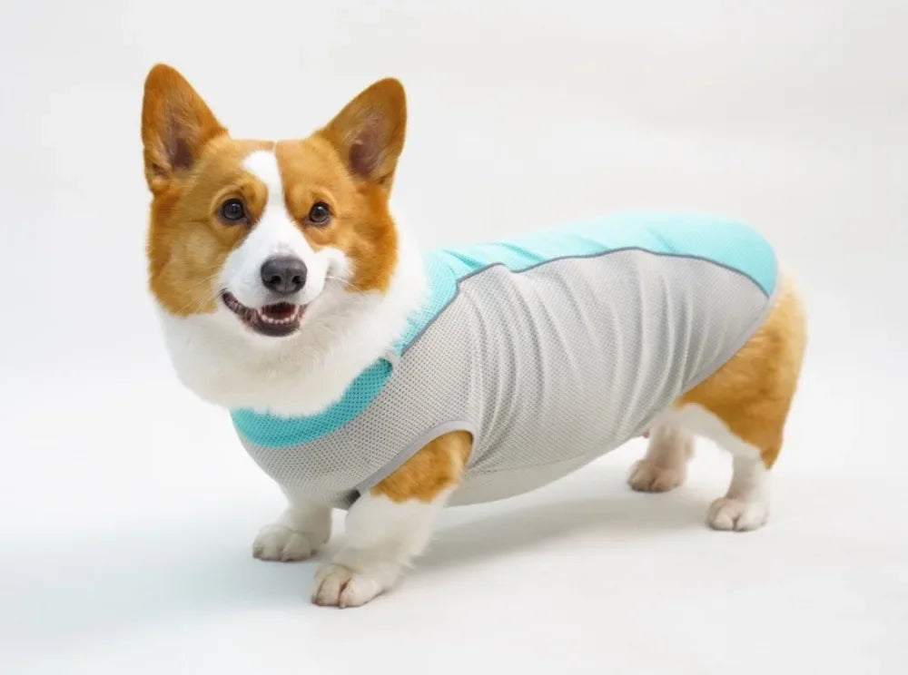 Ice Pack Cooling Vest for Small & Medium Dogs