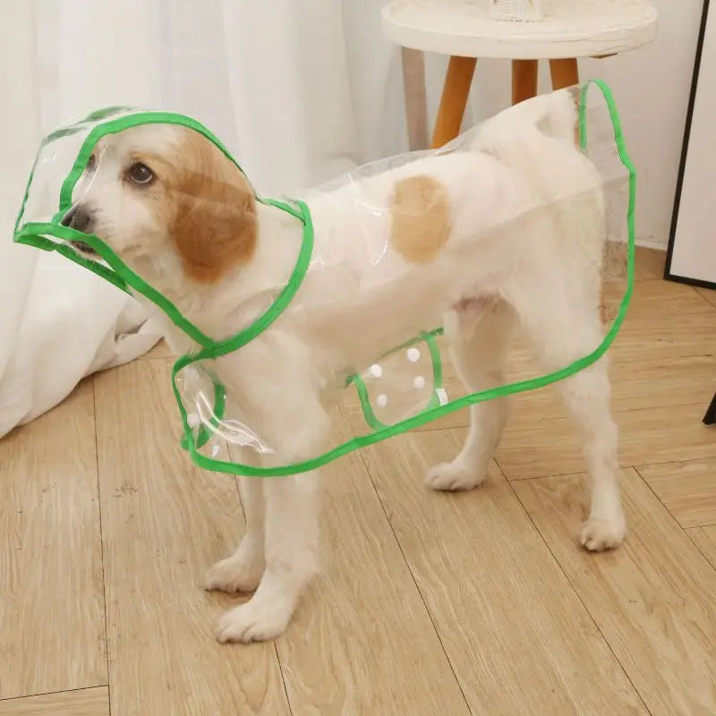 Transparent Waterproof Raincoat for Small & Medium Dogs
