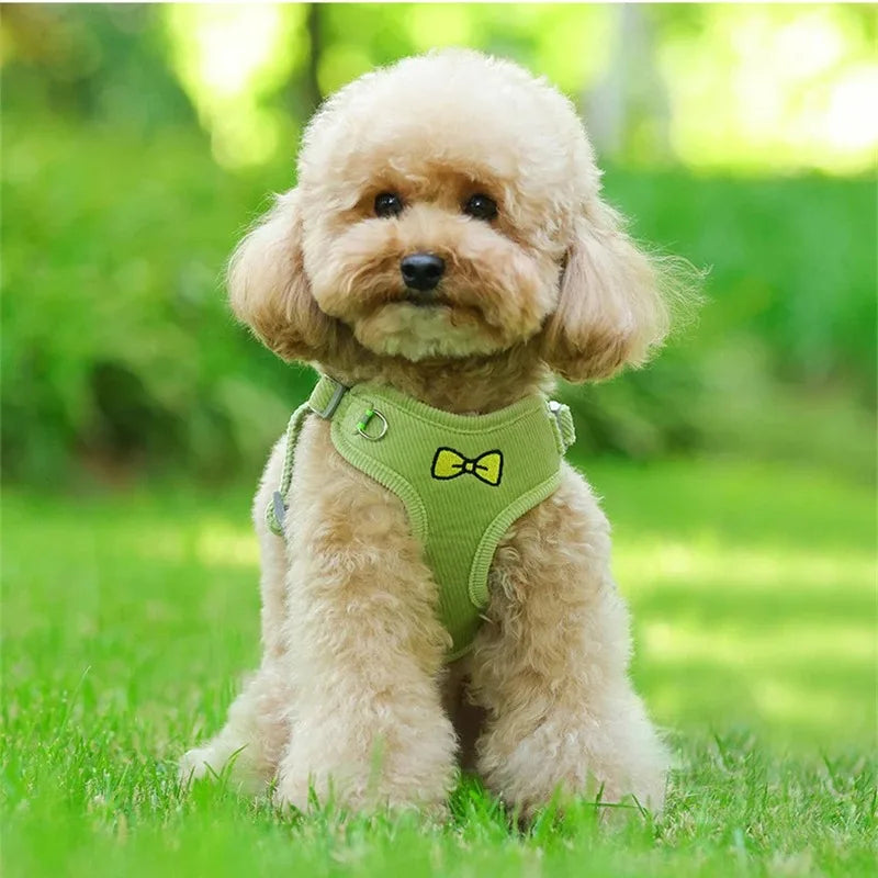Gilet Harnais Tactique pour Chien - Harnais Anti-Traction pour Chiens Petits à Grands