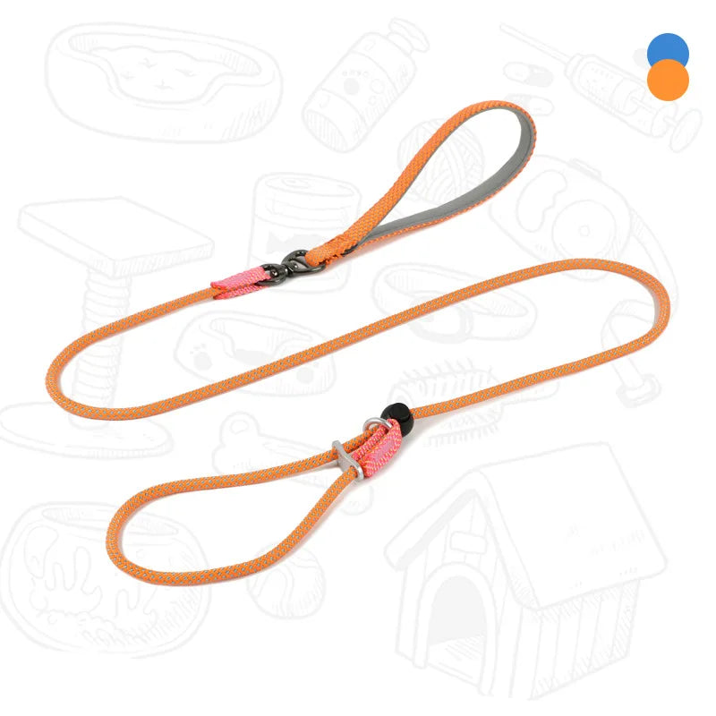 Laisse de dressage 2-en-1 avec collier étrangleur intégré pour petits chiens 150cm
