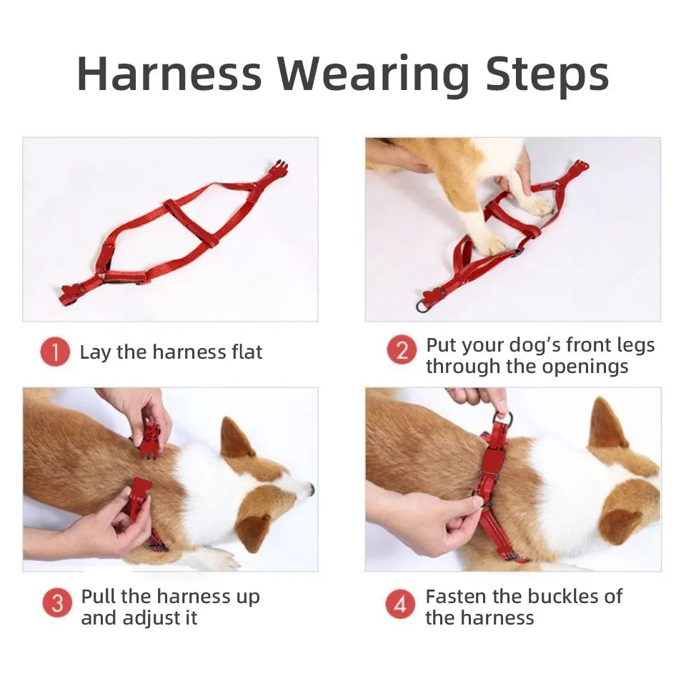 Adjustable Dog Chest Harness – Vest Style Walk Harness