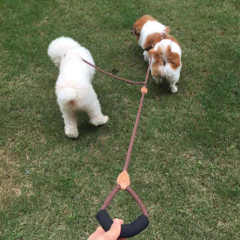 Double laisse en Y pour chien (120 cm)