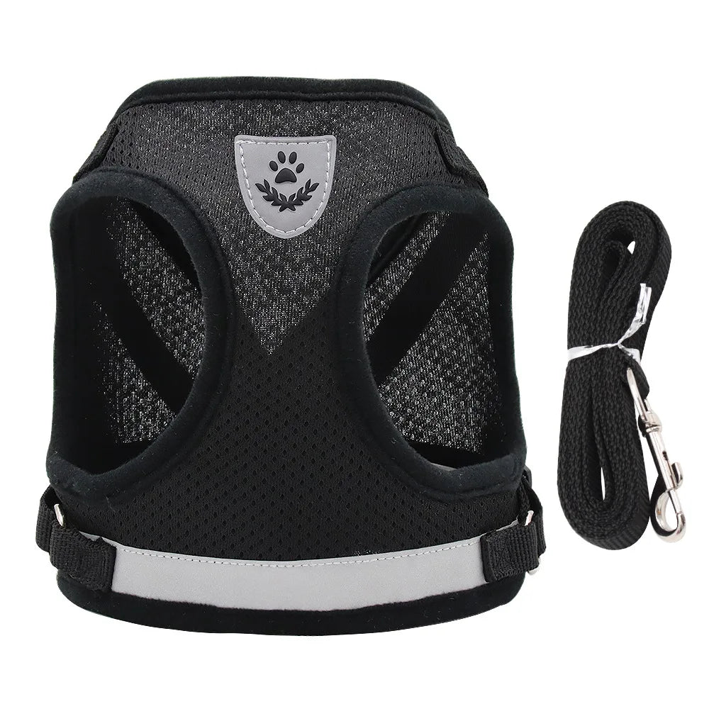 Ensemble harnais et laisse anti-évasion pour animaux de compagnie – Gilet en maille réfléchissante pour chats et petits chiens