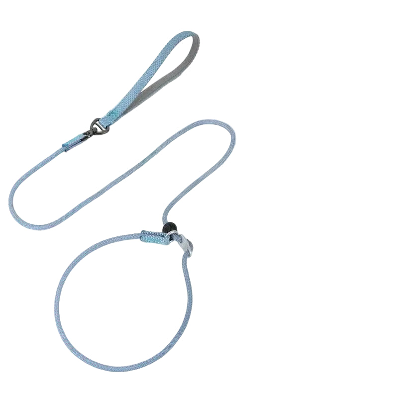 Laisse de dressage 2-en-1 avec collier étrangleur intégré pour petits chiens 150cm