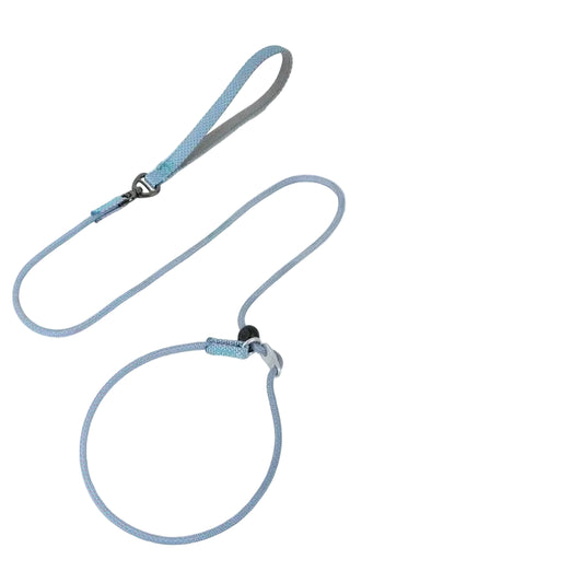 2-in-1 Slip Lead & Collar Training Leash for Small Dogs 150cm
