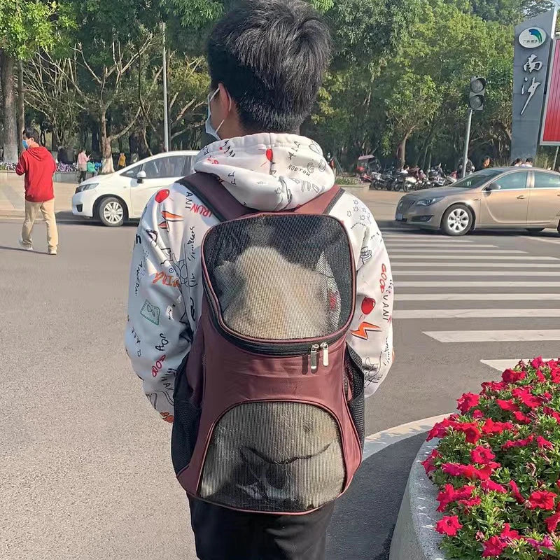 Solid Mesh Breathable Cat Puppy Travel Backpack S/L Pet Carrying Bag for Cats Kitten Small Dogs Pet Outdoor Supplies Accessories