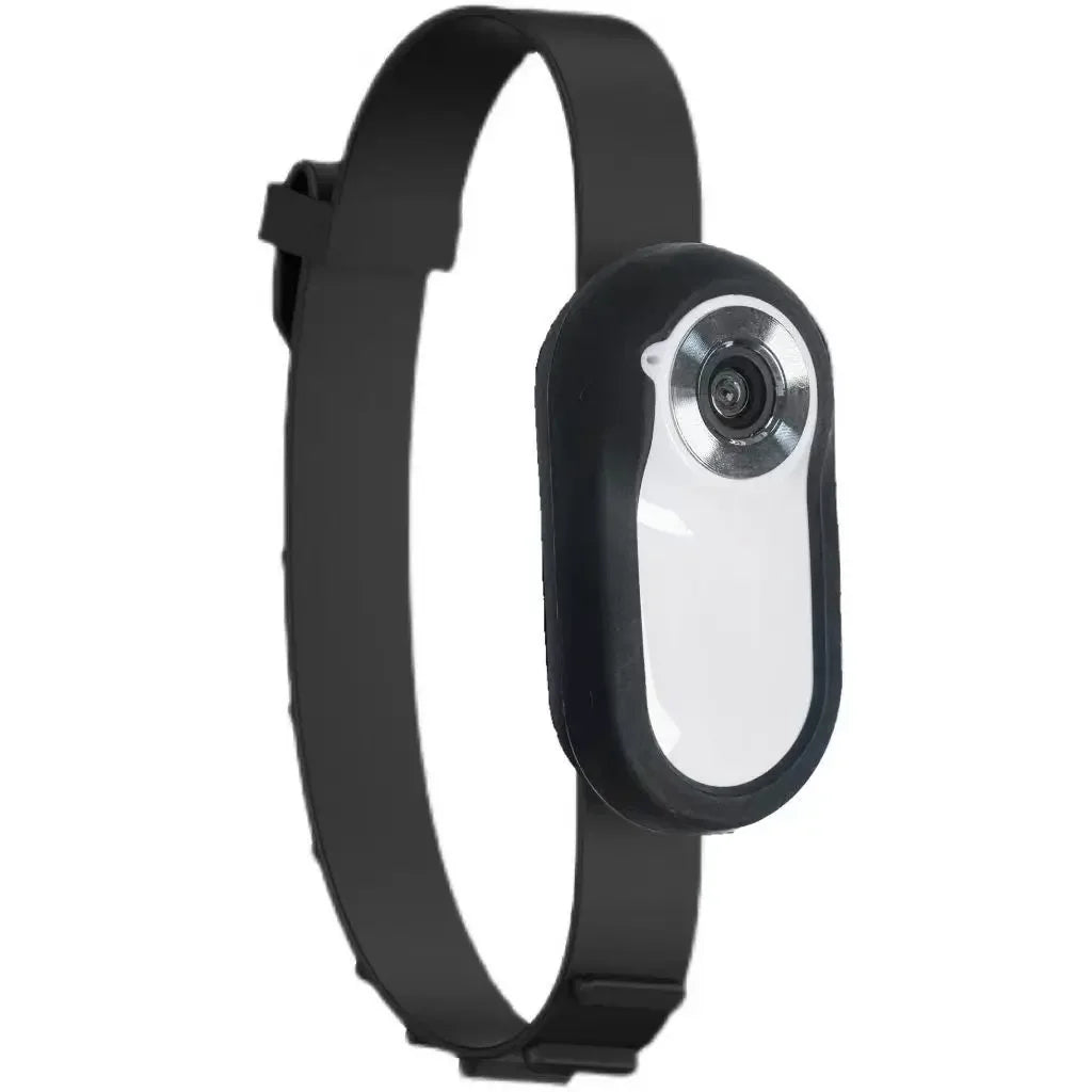 HD 1080P Wireless Pet Collar Camera — No WiFi Required