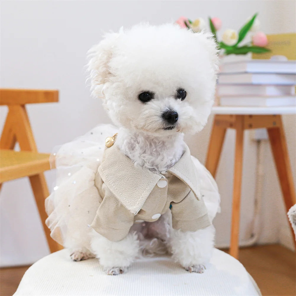 Sequin & Lace Pet Dress