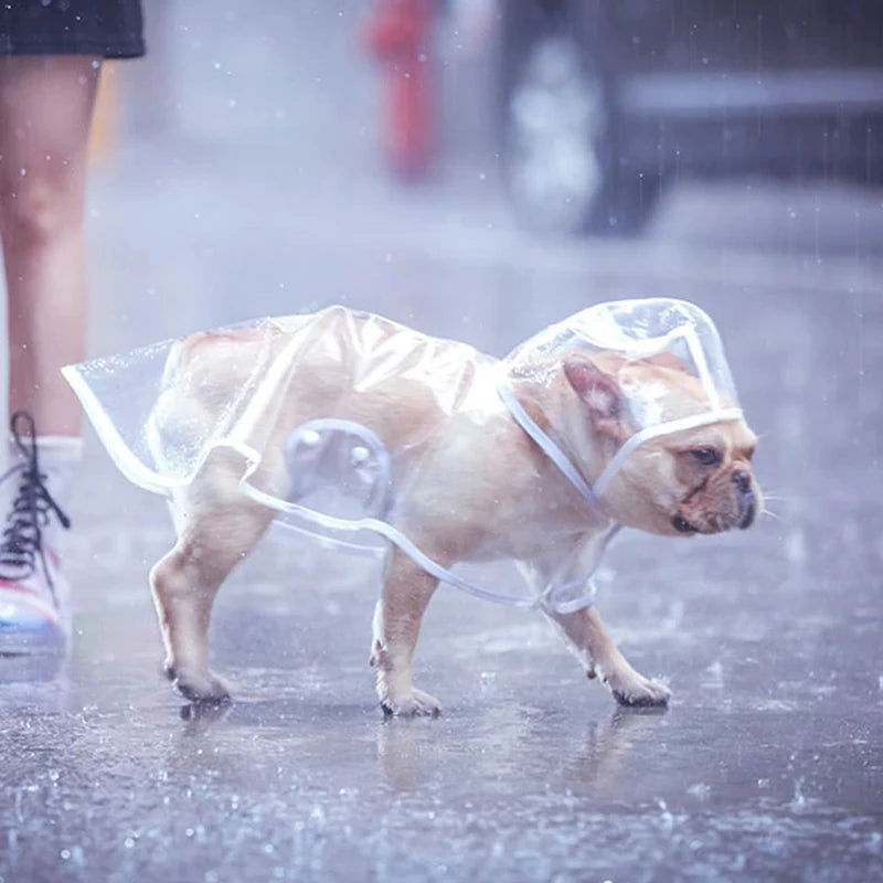 Transparent Waterproof Raincoat for Small & Medium Dogs