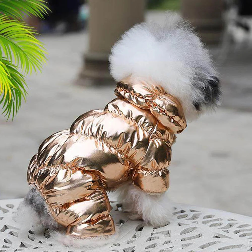 Winter Down Jumpsuit for Small Dogs | Padded All-in-One Dog Coat