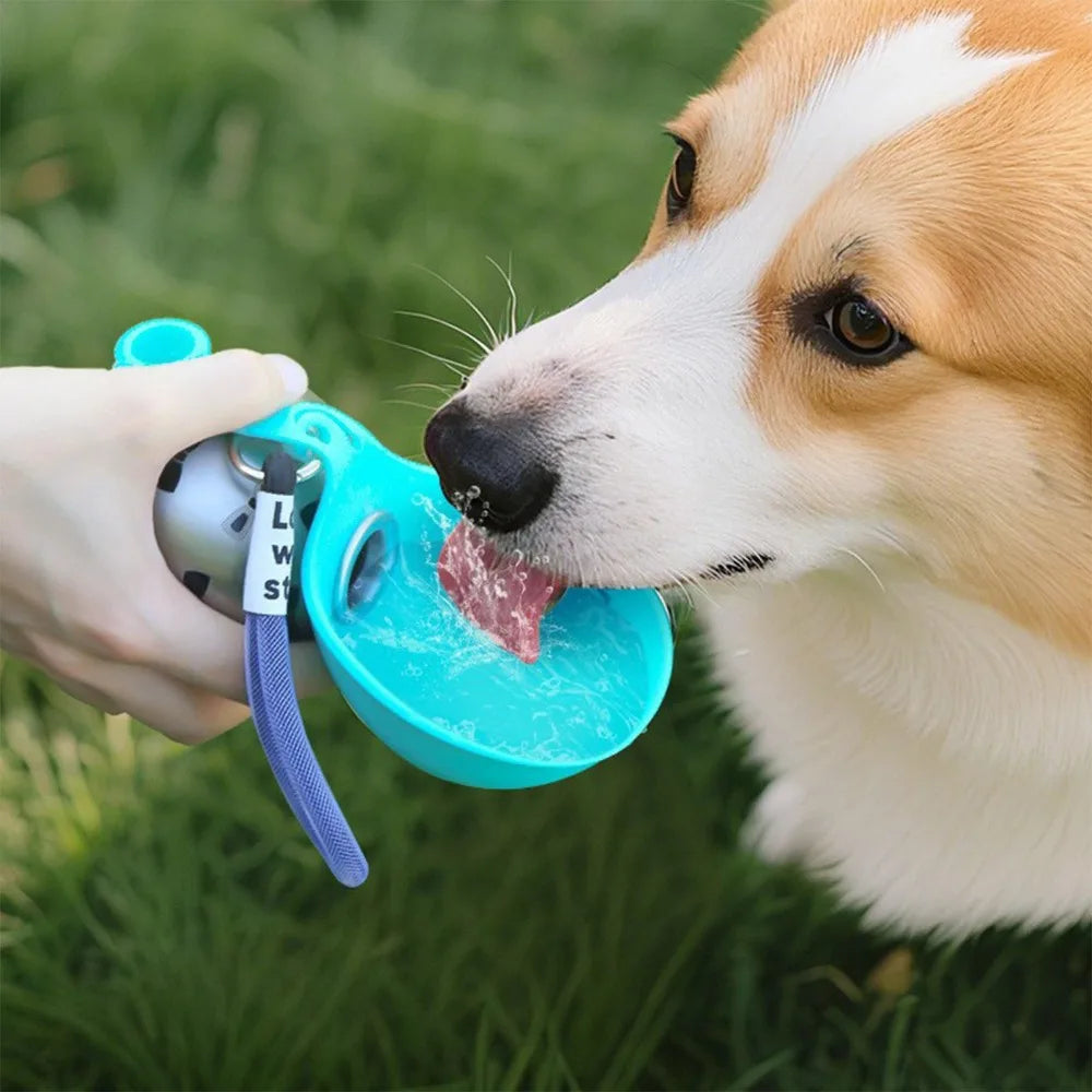 Stainless Steel Dog Water Bottle with Removable Silicone Bowl — Leak-Proof