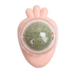 Catnip Wall Ball - Natural Edible Cat Mint Toy for Hairball Relief