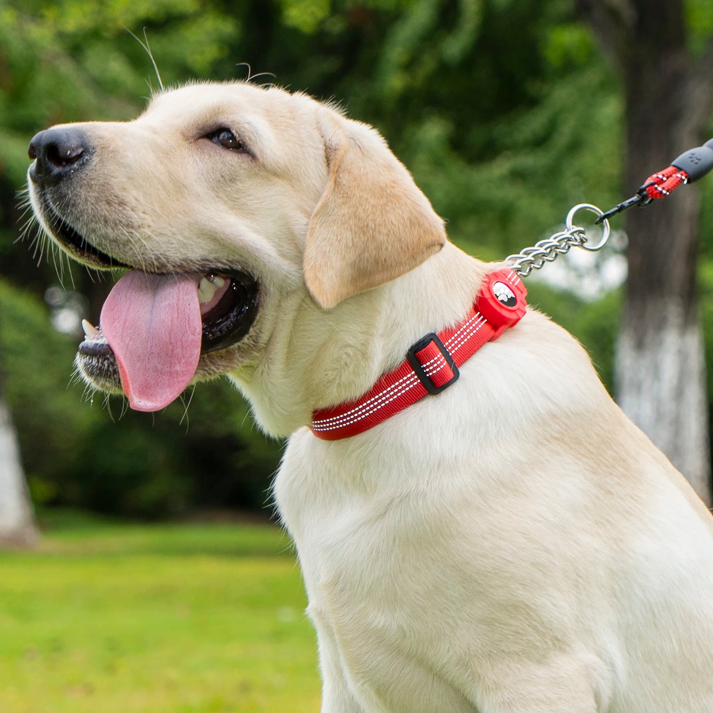 Collier réfléchissant pour chien avec support AirTag et boucle à dégagement rapide