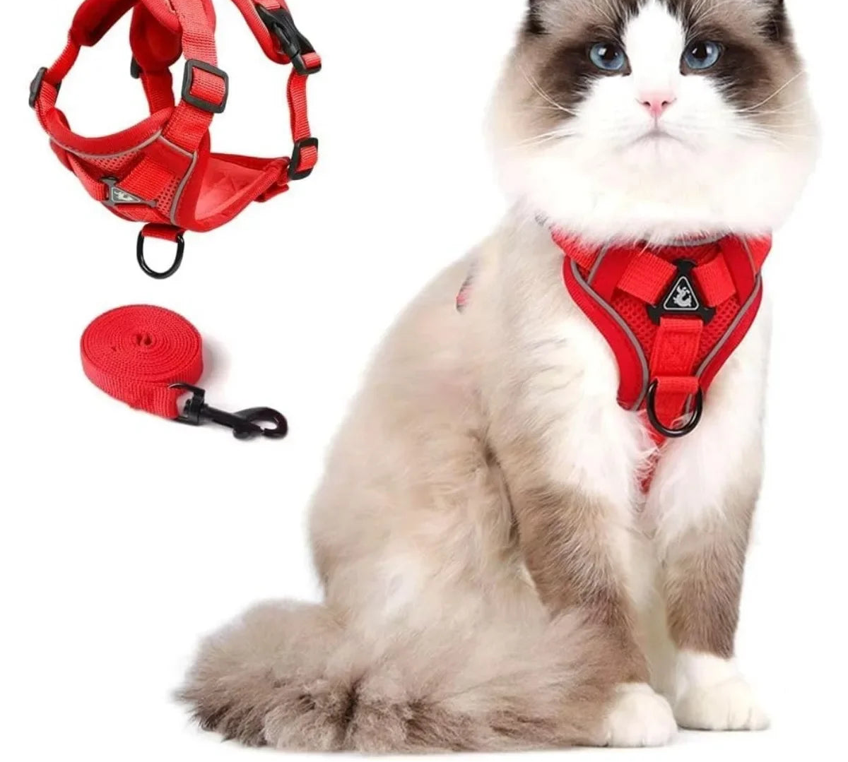 Adjustable Cat Vest Harness and Leash Set - Reflective Trim for All Sizes