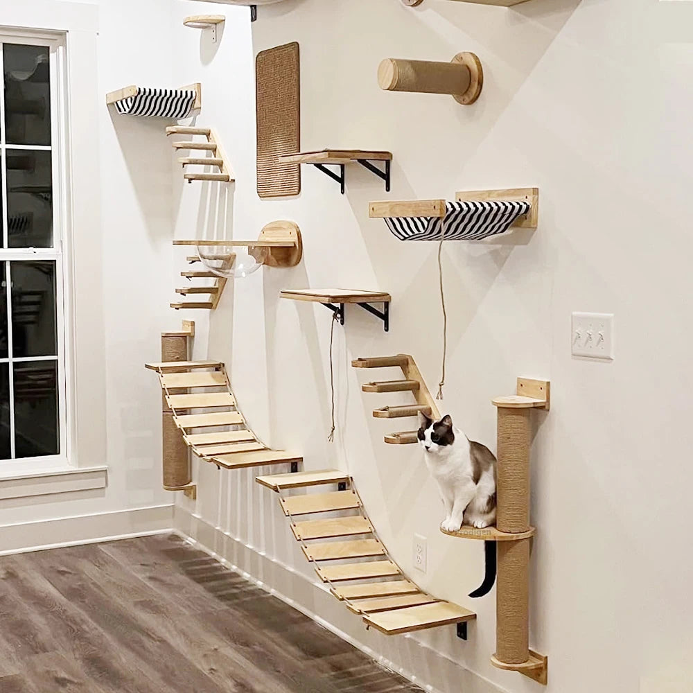 Wall-Mounted Cat Climbing Furniture & Hammocks