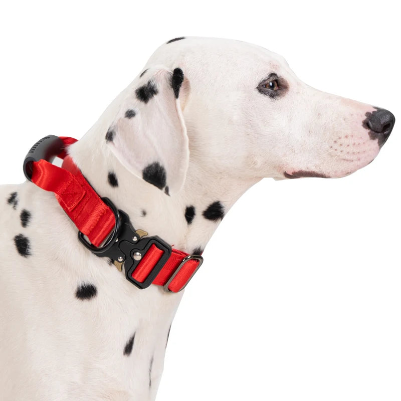 Heavy Duty Tactical Dog Collar with Handle — Metal Buckle Training Collar for Medium & Large Dogs