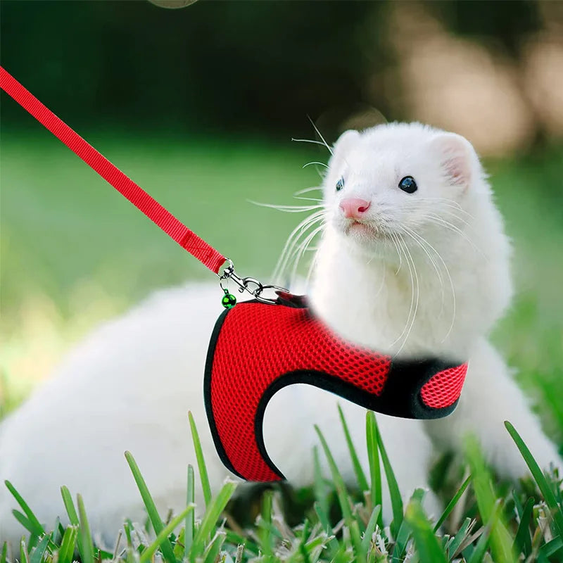 Mesh Breathable Harness & Leash Set for Rabbits, Ferrets & Small Pets