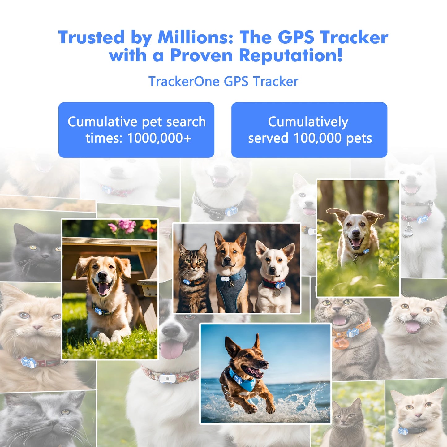 Traceur GPS pour chiens et chats