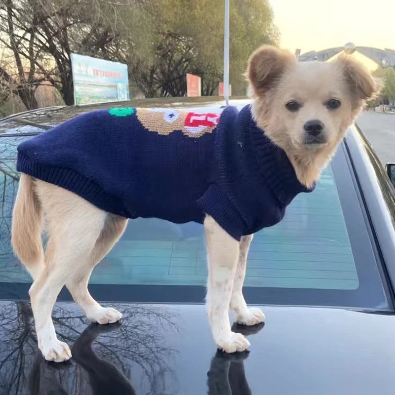 Warm Knit Dog & Cat Sweater