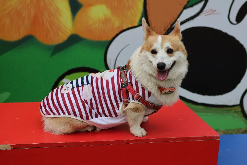 Striped Summer Cooling Vest Shirt for Dogs | Casual Breathable Top for Small to Large Breeds
