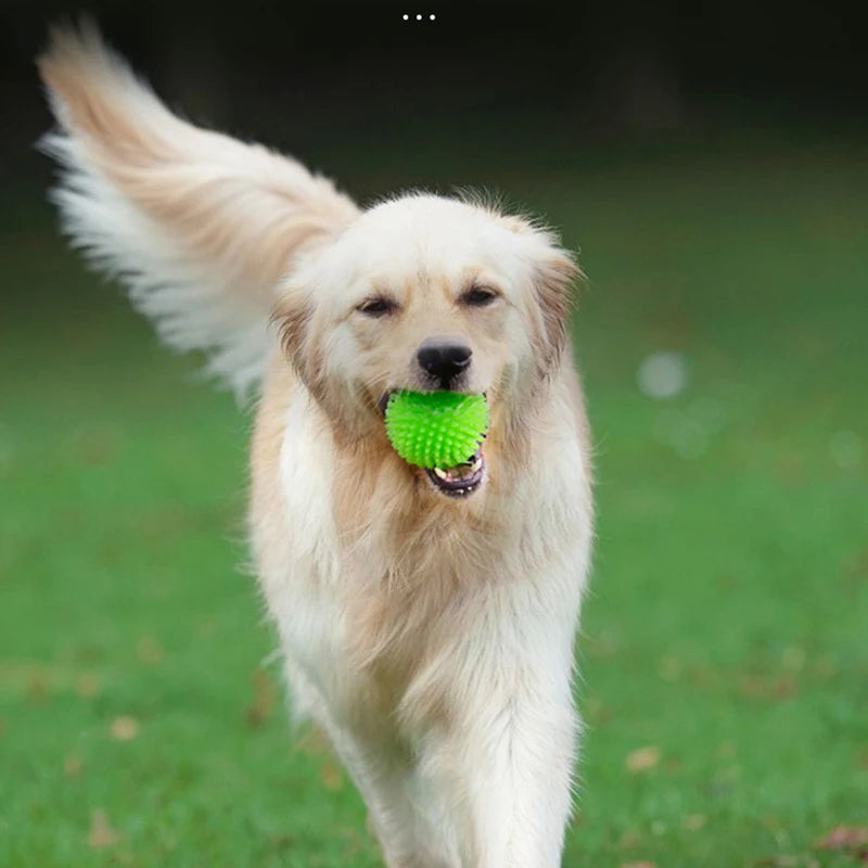 Squeaky Rubber Play Ball for Dogs