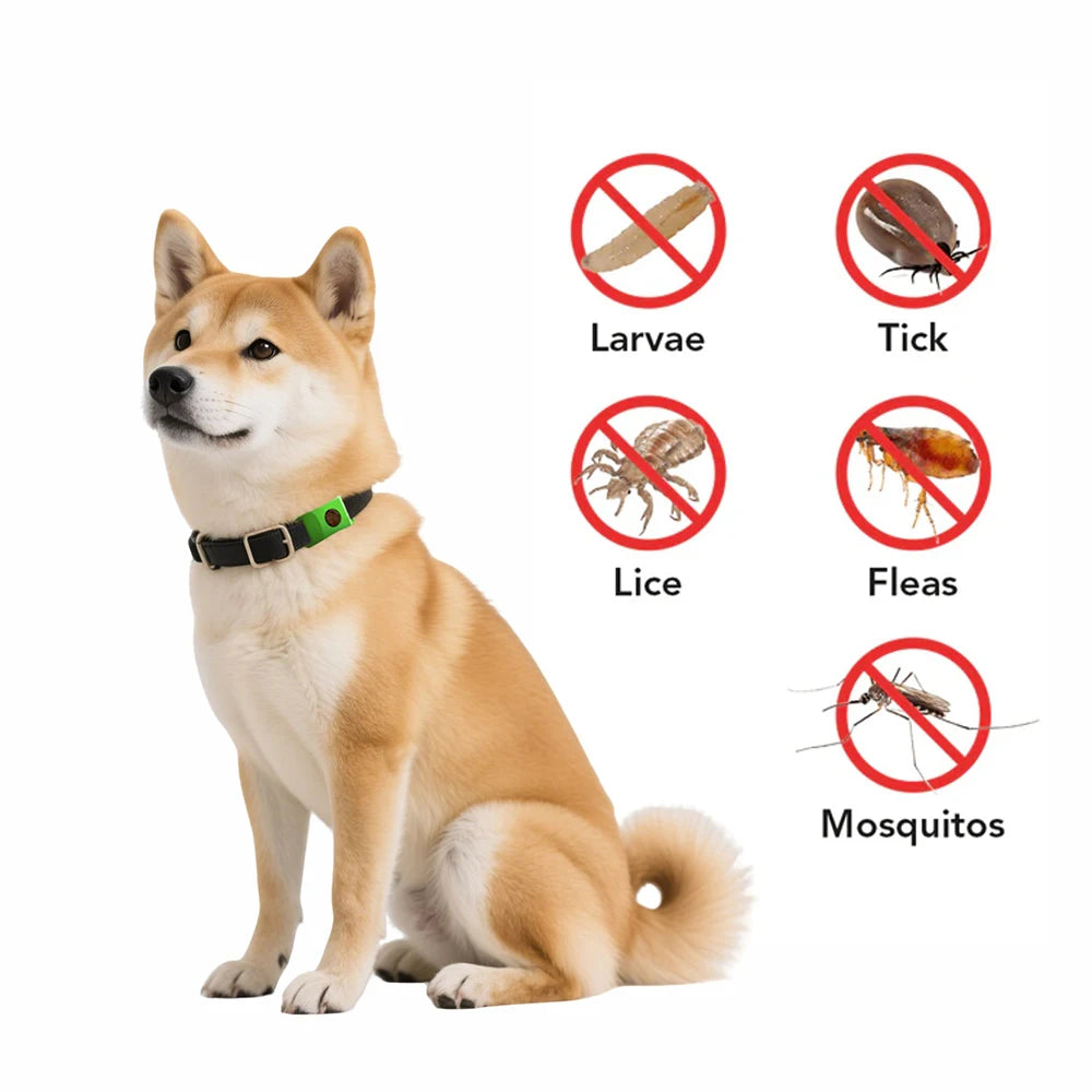 Natural Essential Oil Flea & Tick Collar Pendant – Chemical-Free Protection for Dogs & Cats