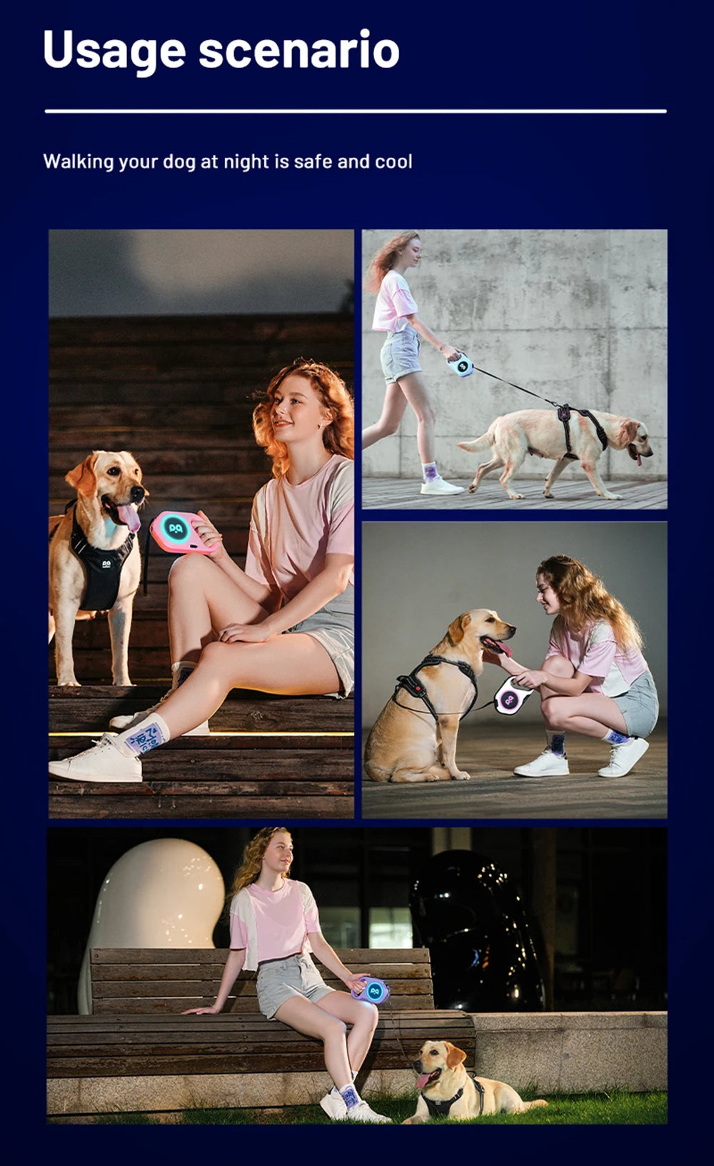LED Retractable Dog Leash | 5M Rechargeable Light-Up Leash