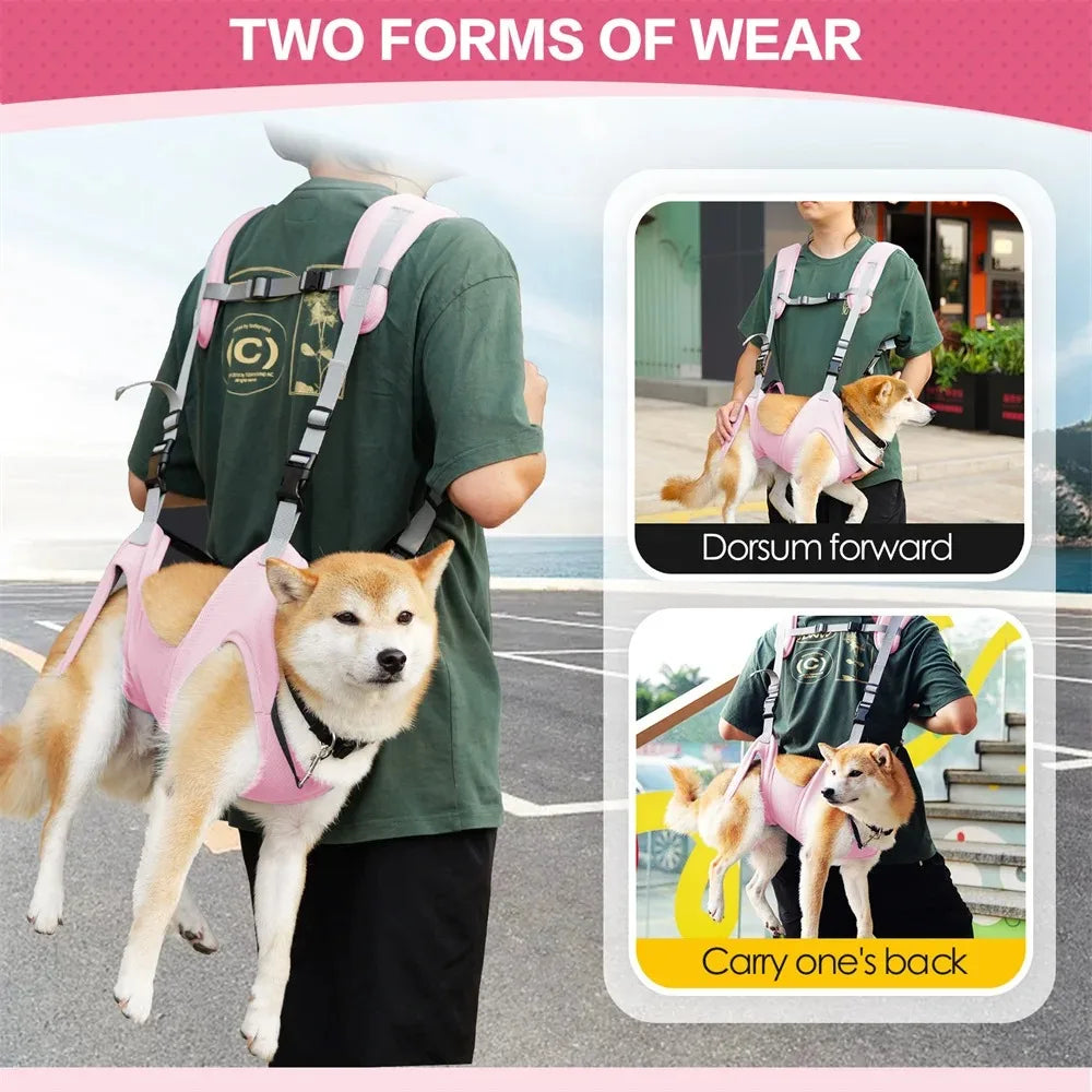 Sac à dos et sac de transport pour animaux de compagnie - Chiens et chats