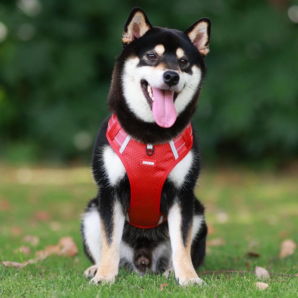 Reflective No-Pull Dog Harness Vest with AirTag Holder
