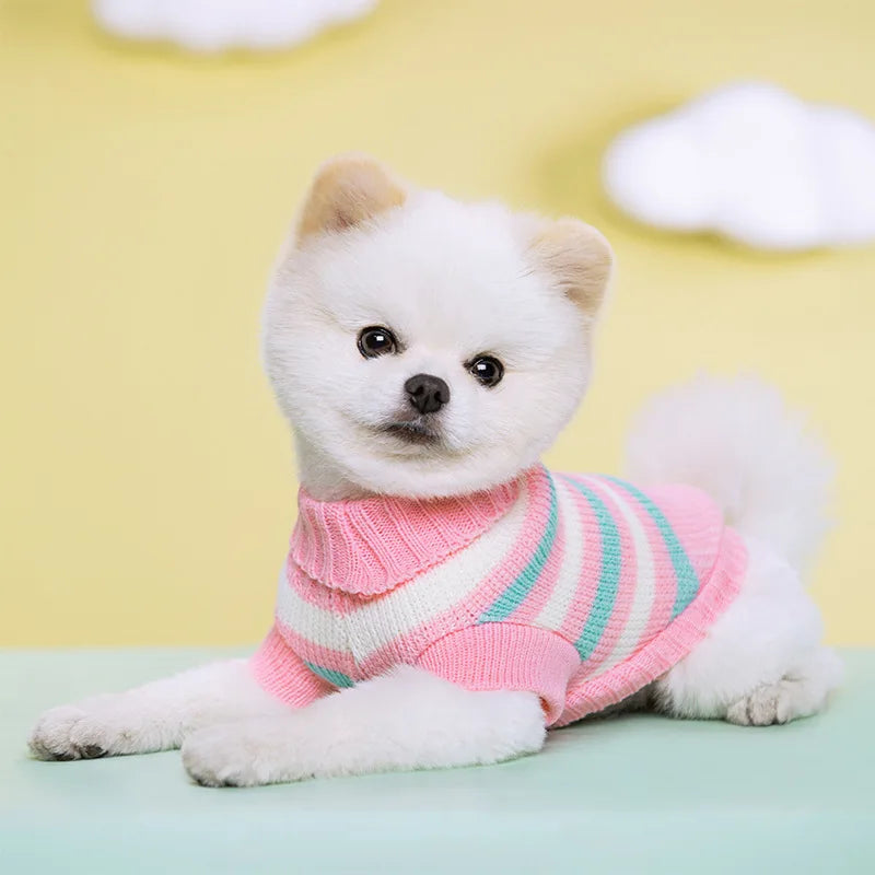 Colorful Knit Sweater for Small & Medium Dogs & Cats