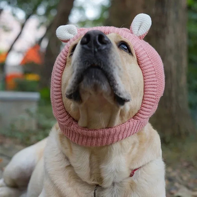 Knitted Winter Hat for Medium & Large Dogs