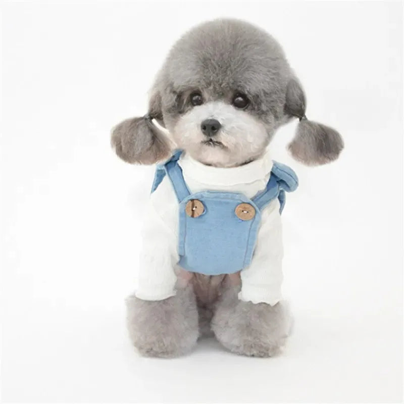 Chemise d'été pour chien - Vêtement léger pour animal de compagnie