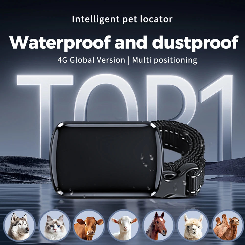 M10A 4G GPS Pet Tracker with Electronic Fence & Activity Tracking