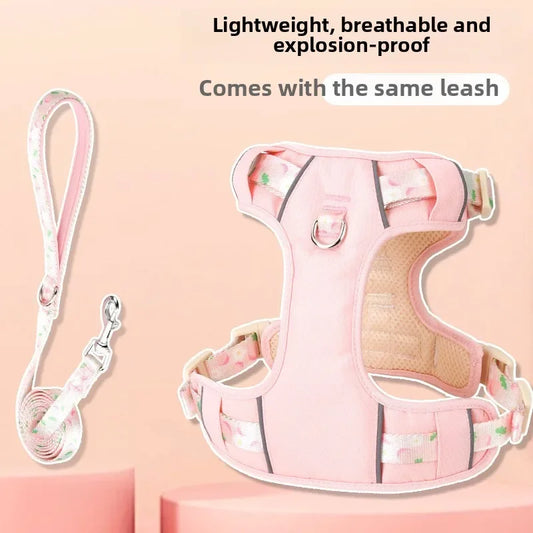Adjustable Dog Collar and Harness Set