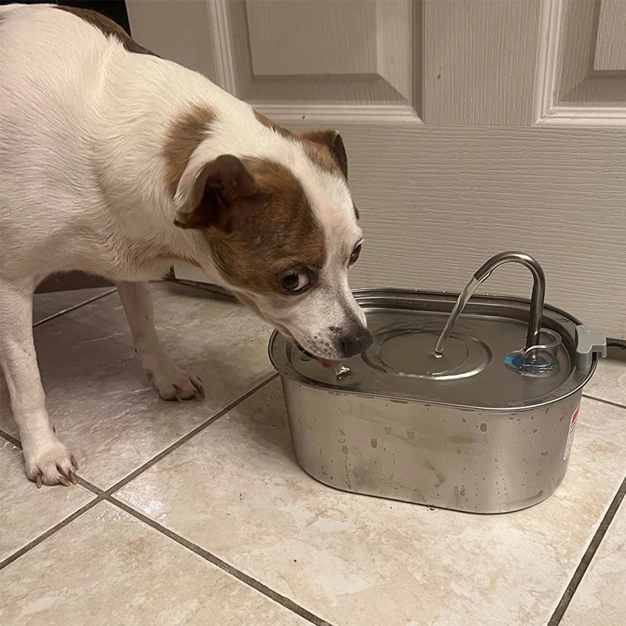 3.2L/108oz automatic cat water fountain, stainless steel pet water fountain, USB powered cat fountain, multi-filtered dog water