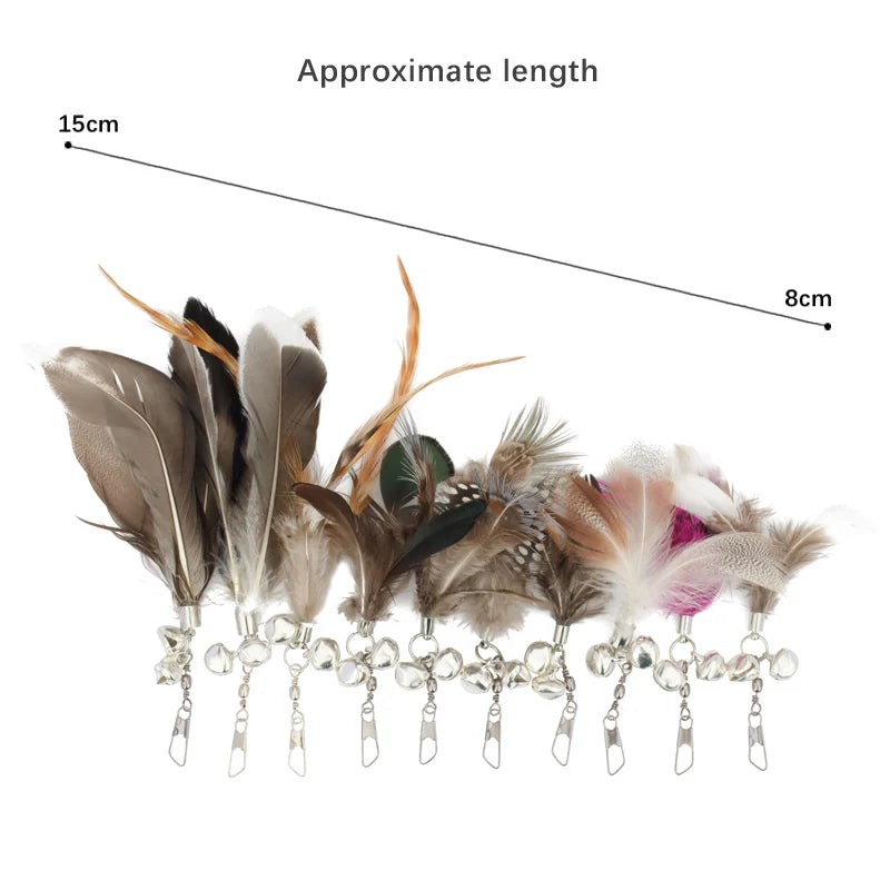 Feather Cat Teaser Toy Replacement Pack (10pcs)