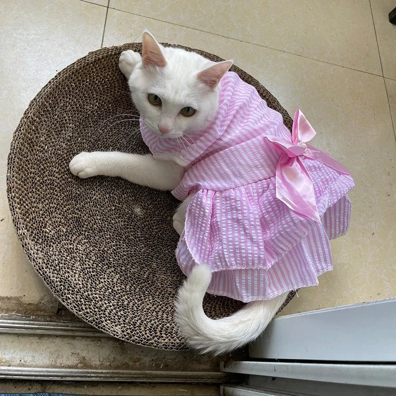 Robe de princesse pour animaux de compagnie - Robe d'été à rayures et carreaux avec nœud pour chats et petits chiens