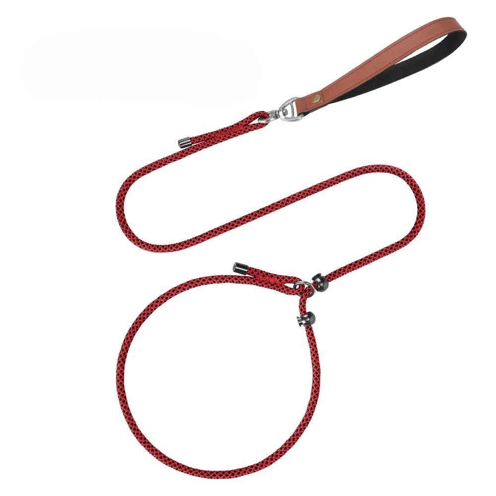 Laisse-collier étrangleur anti-nœuds réglable pour petits chiens