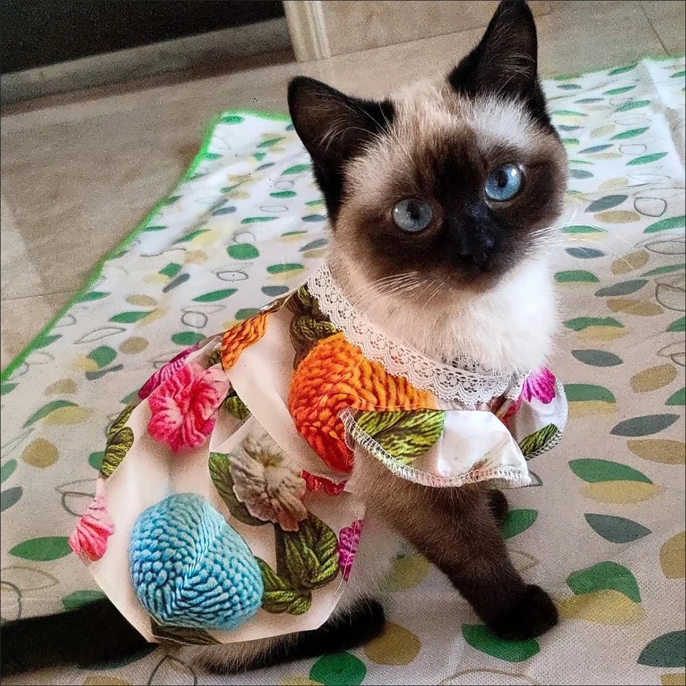 Lace Collar Dress for Cats & Small Dogs